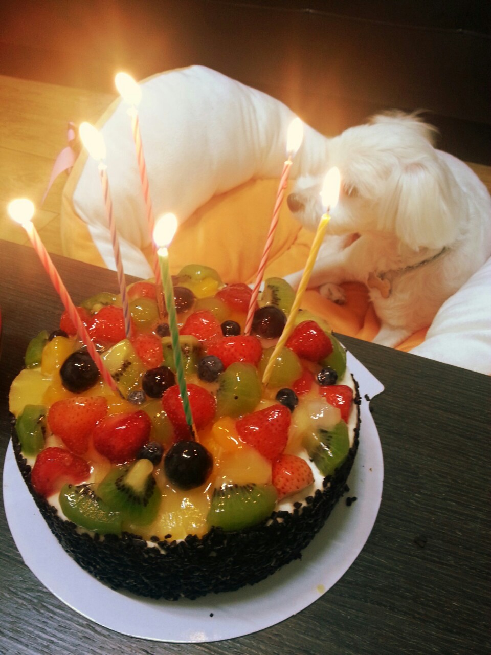 축복이의 6살 생일^^