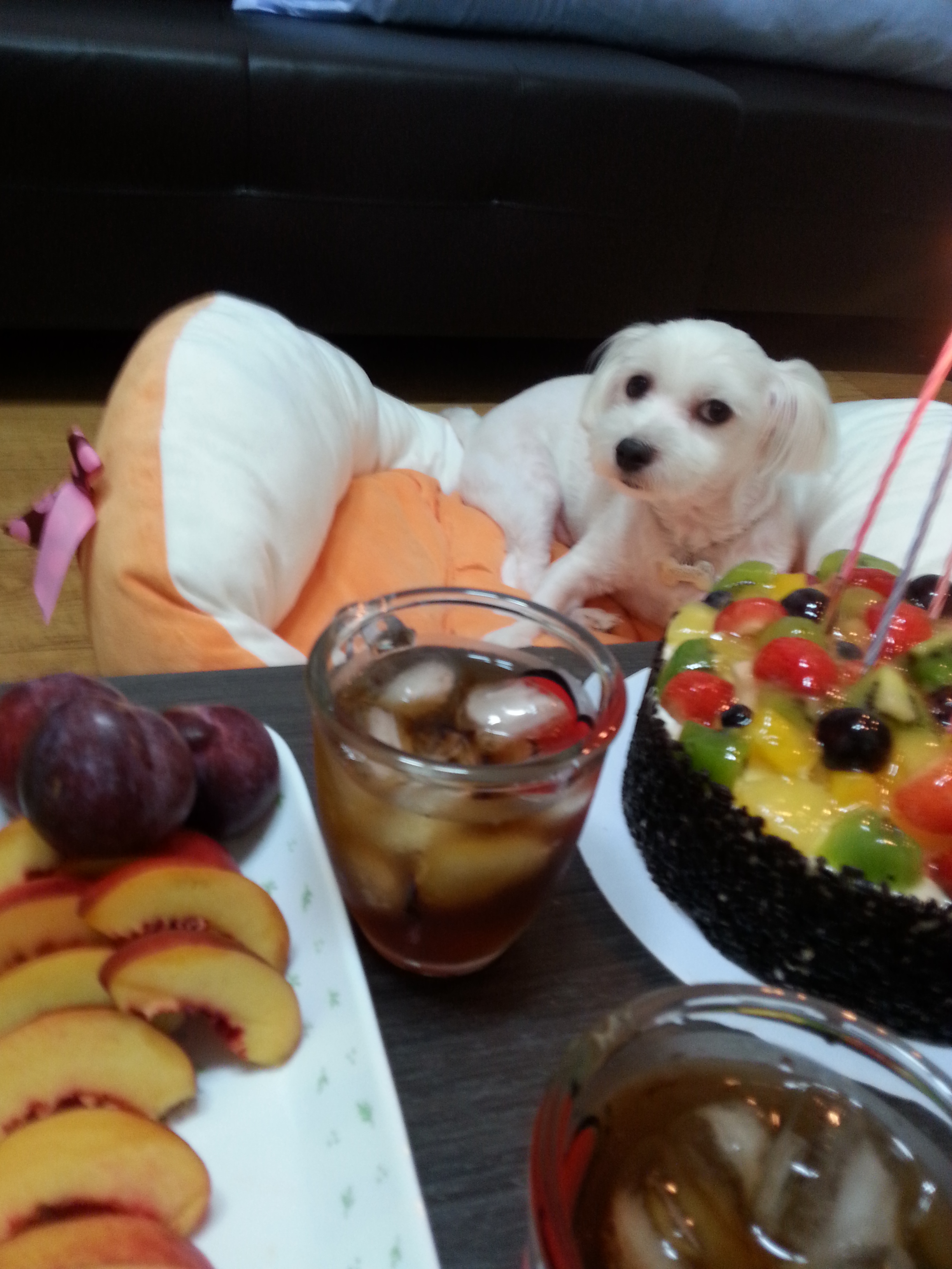 축복이의 6살 생일^^