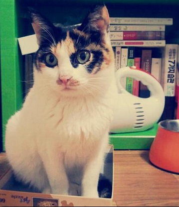 나비(베닝)이 근황입니다.^^