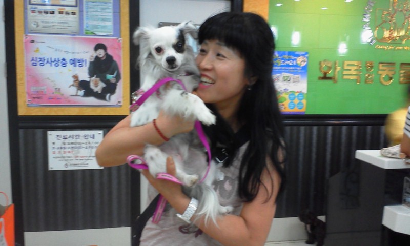 입양온 아가들 안부 전합니다