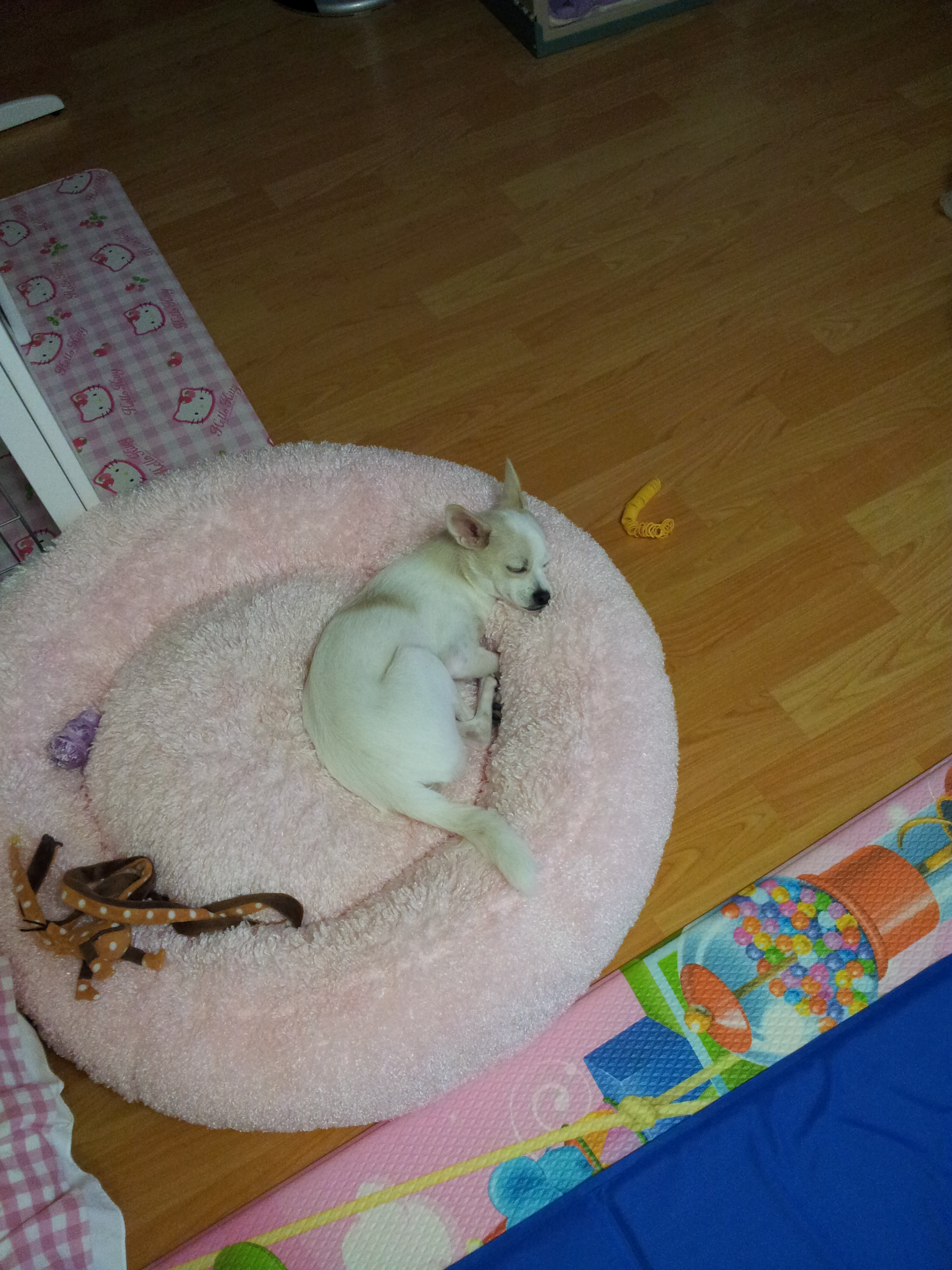 제나,티나,빛나 