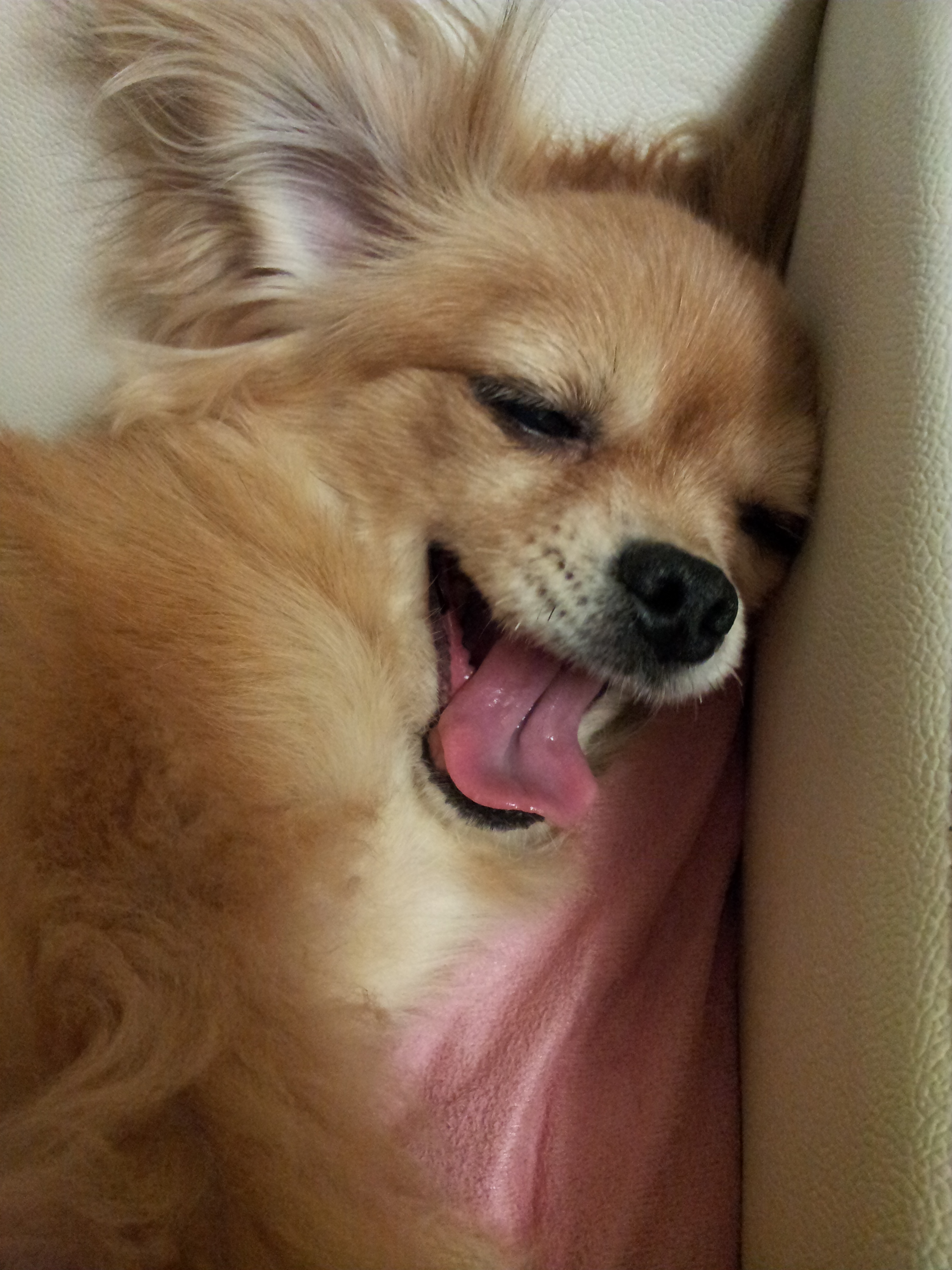 제나,티나,빛나 