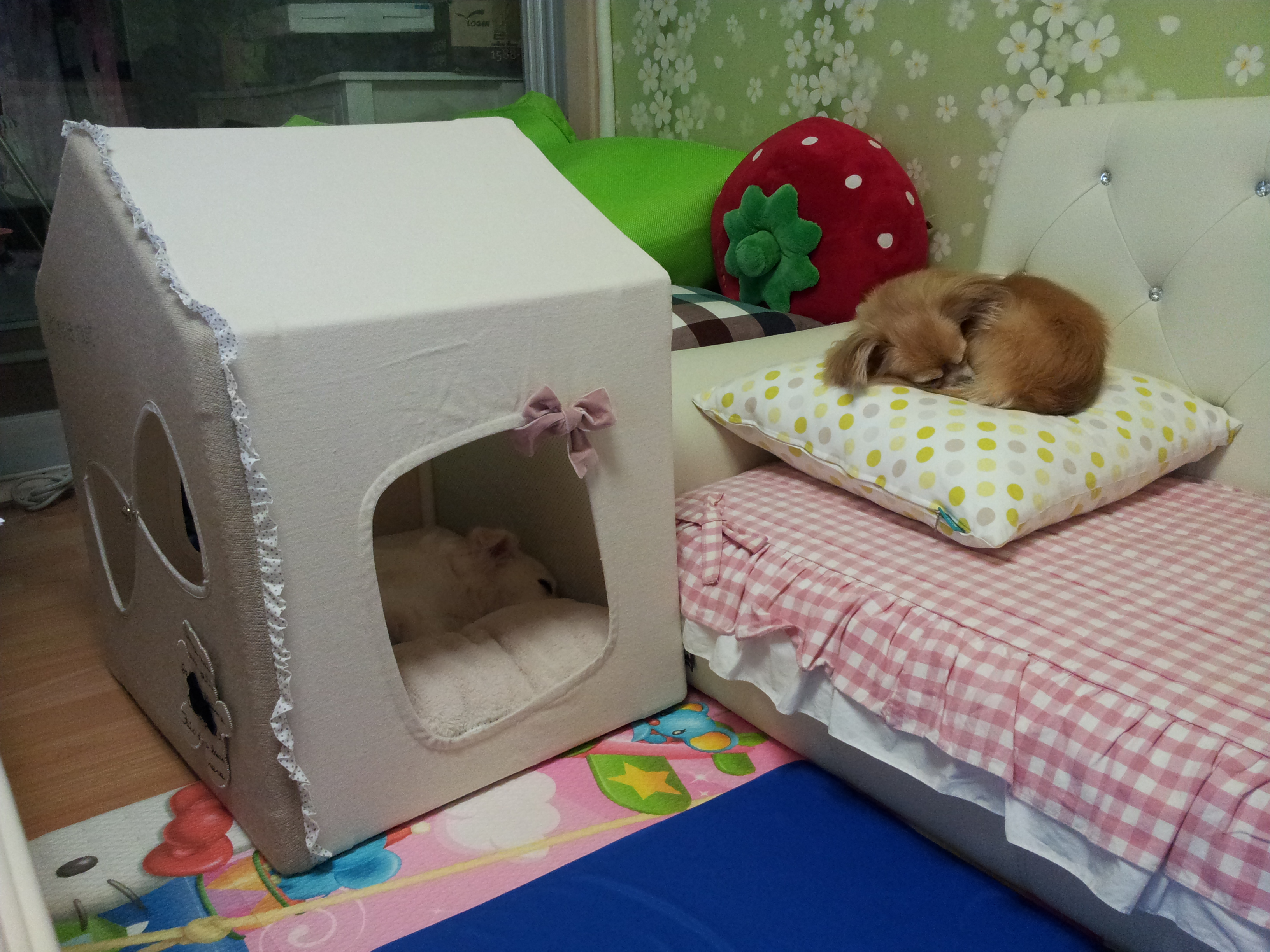 제나,티나,빛나 