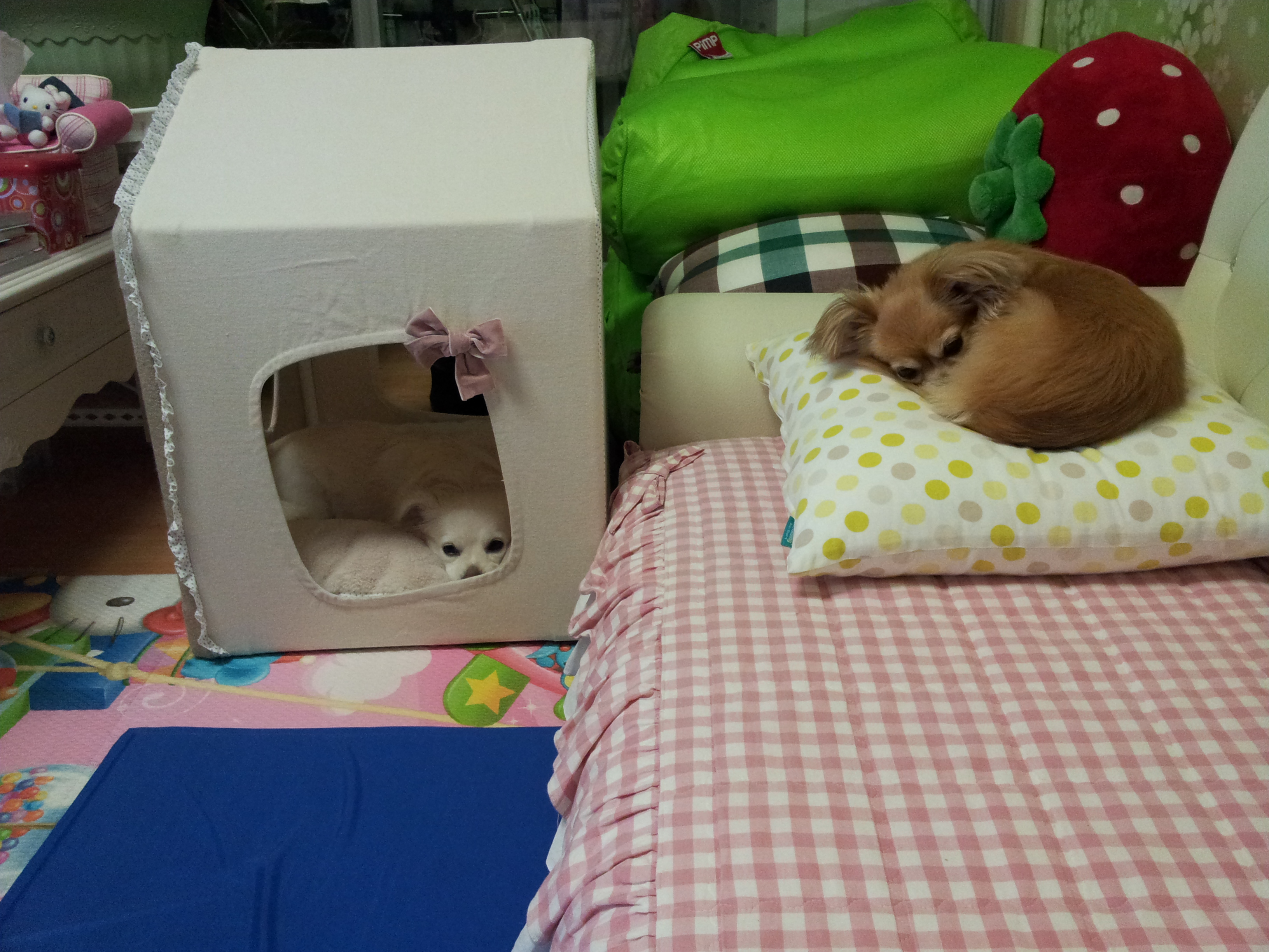 제나,티나,빛나 