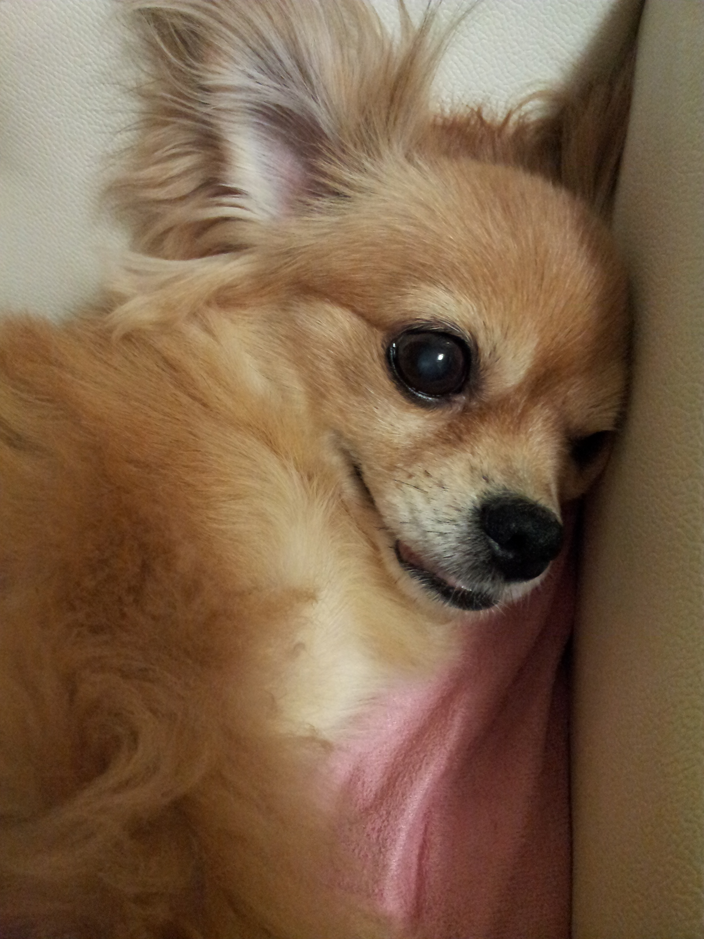 제나,티나,빛나 