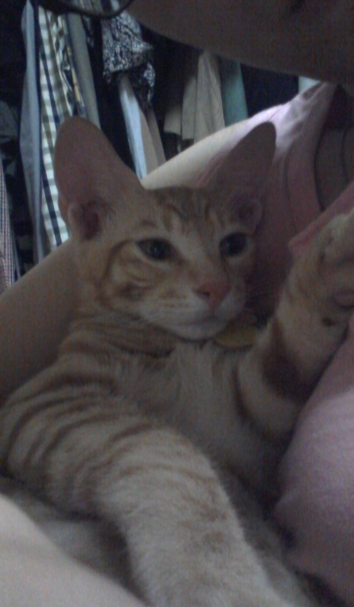 오랜만에 건국이 사진^^