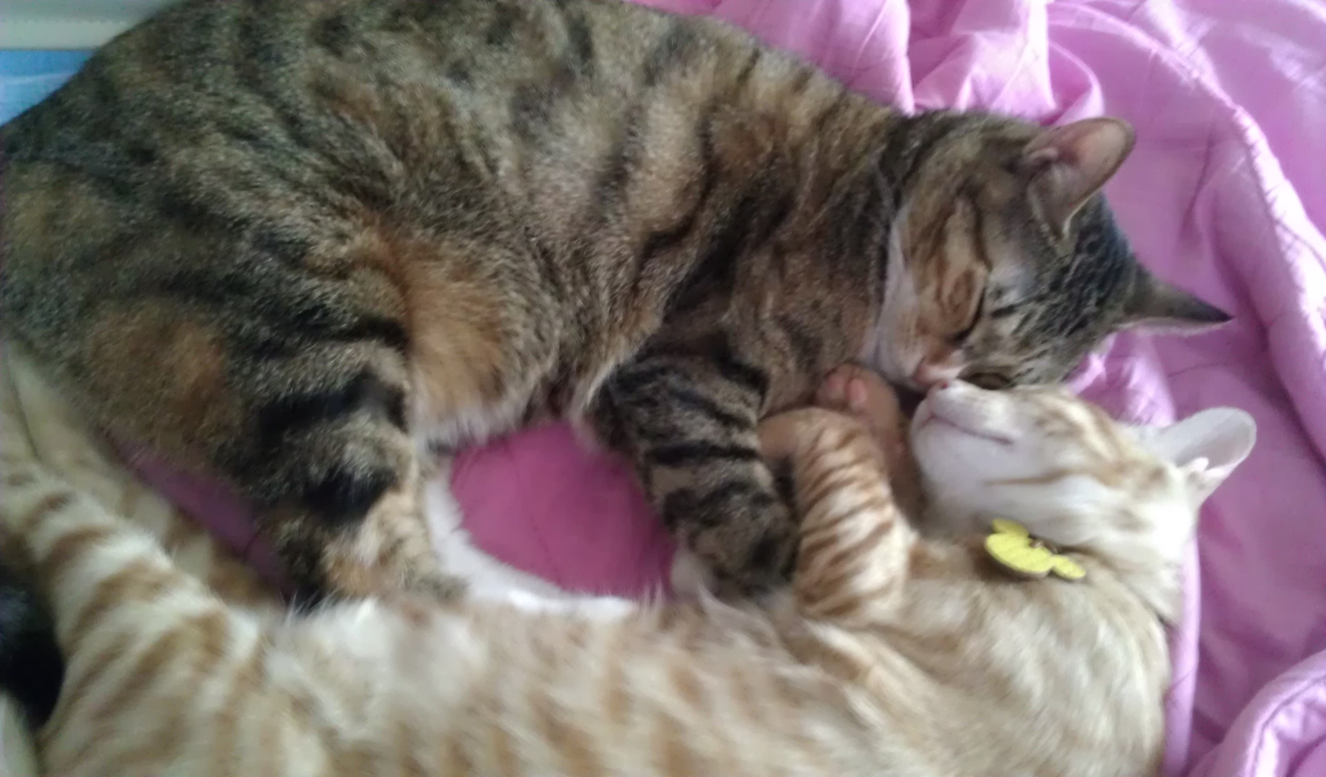 오랜만에 건국이 사진^^