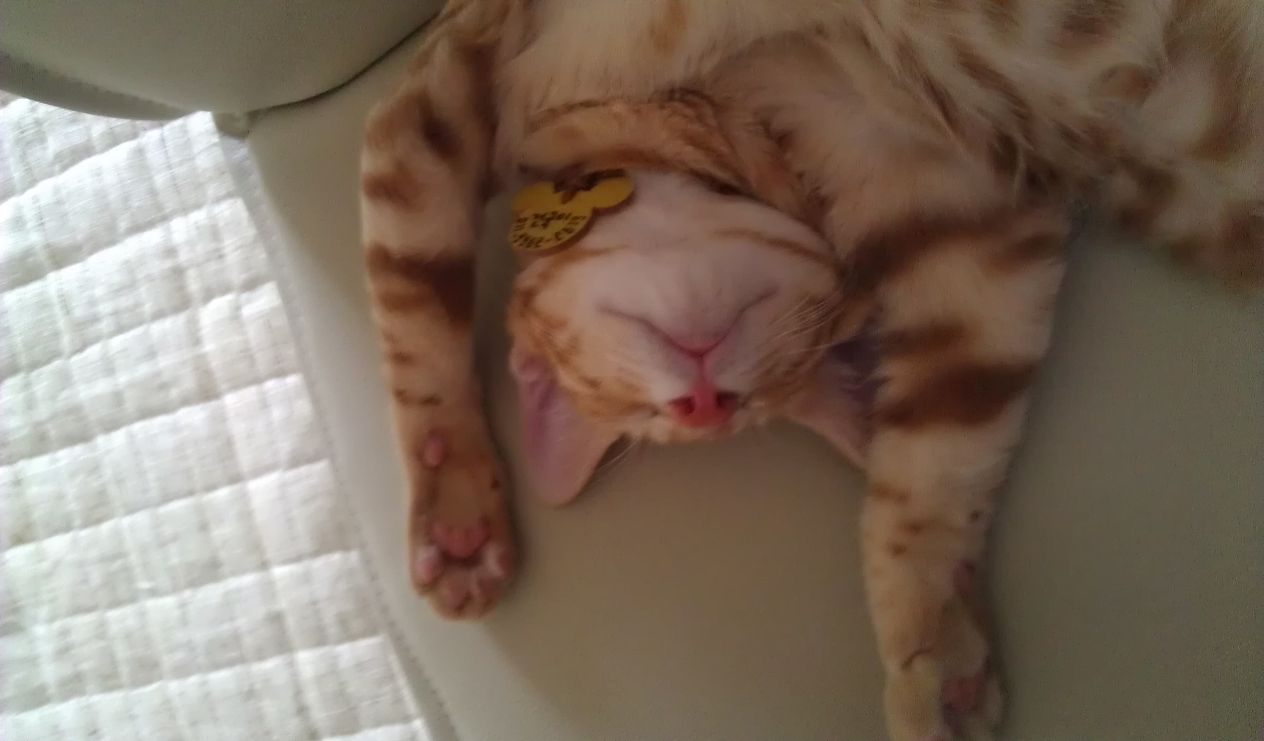 오랜만에 건국이 사진^^