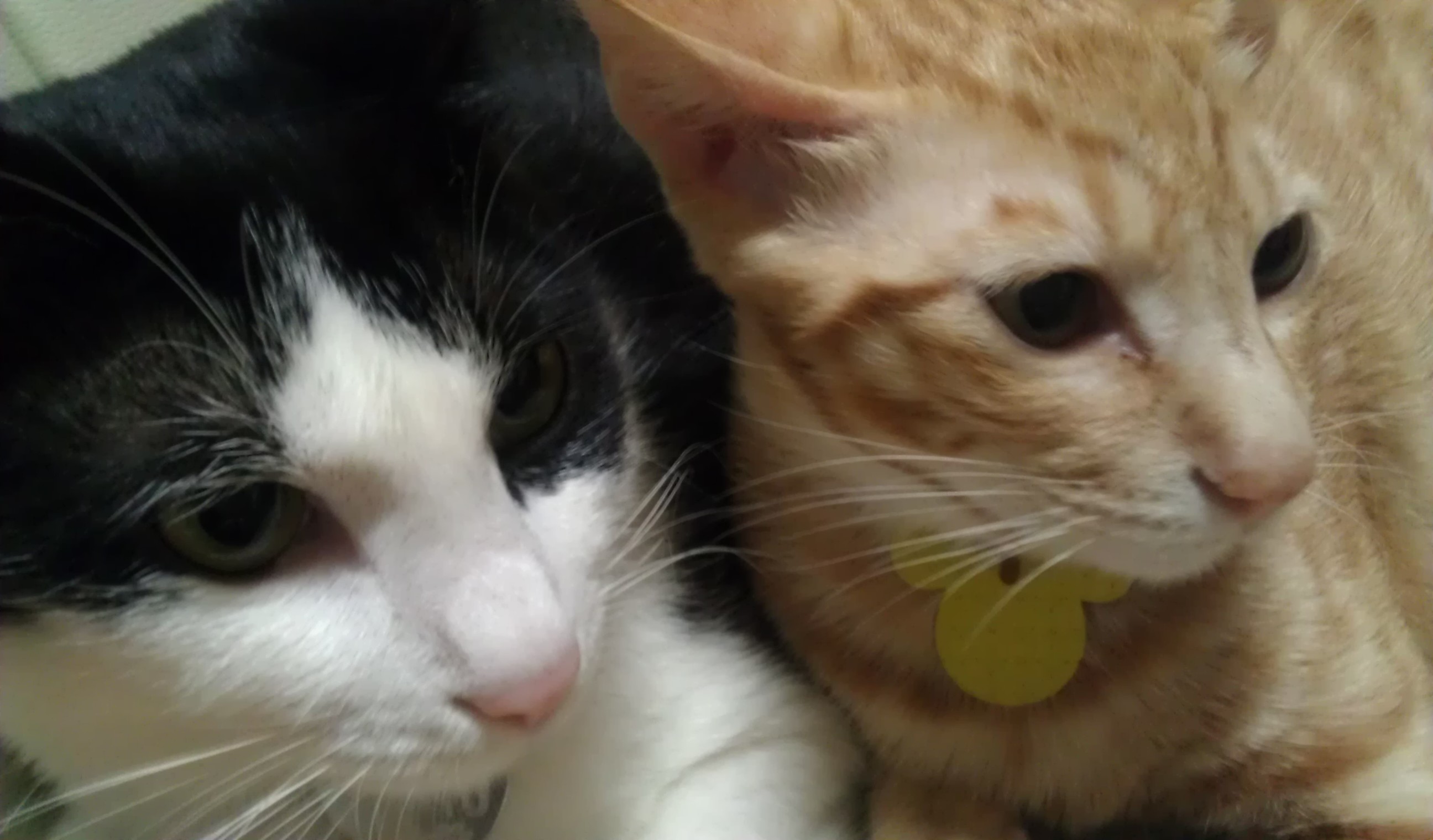 오랜만에 건국이 사진^^