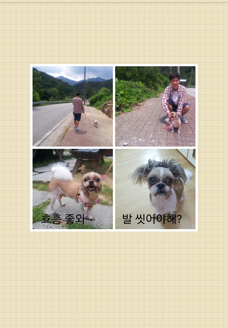 몽이 입니다.(^^)