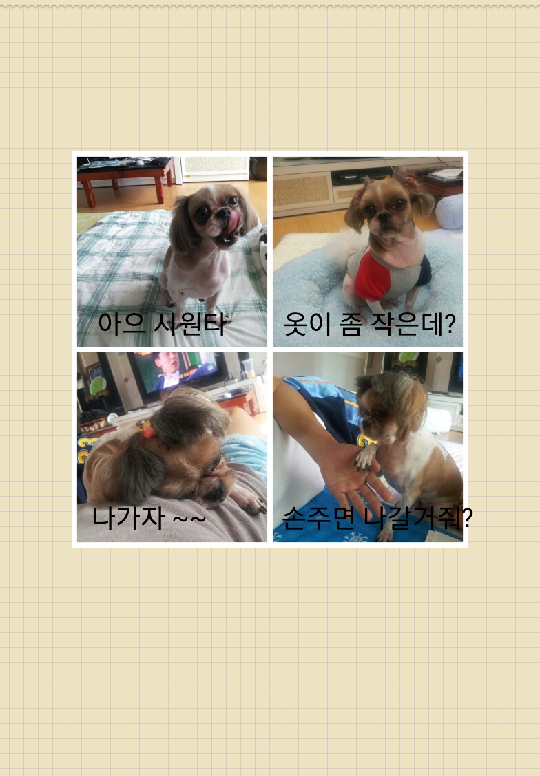 몽이 입니다.(^^)