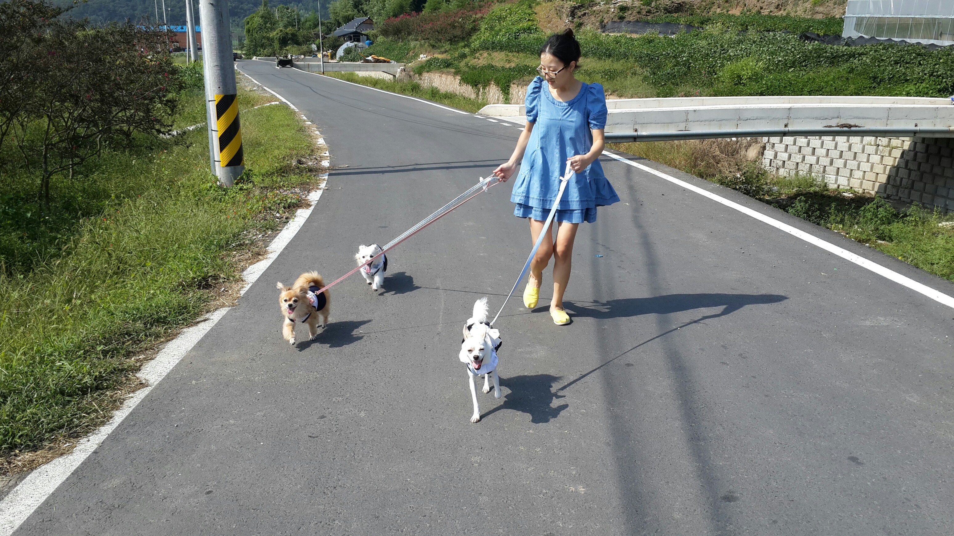 울똥깡들 시골길 산책~~~