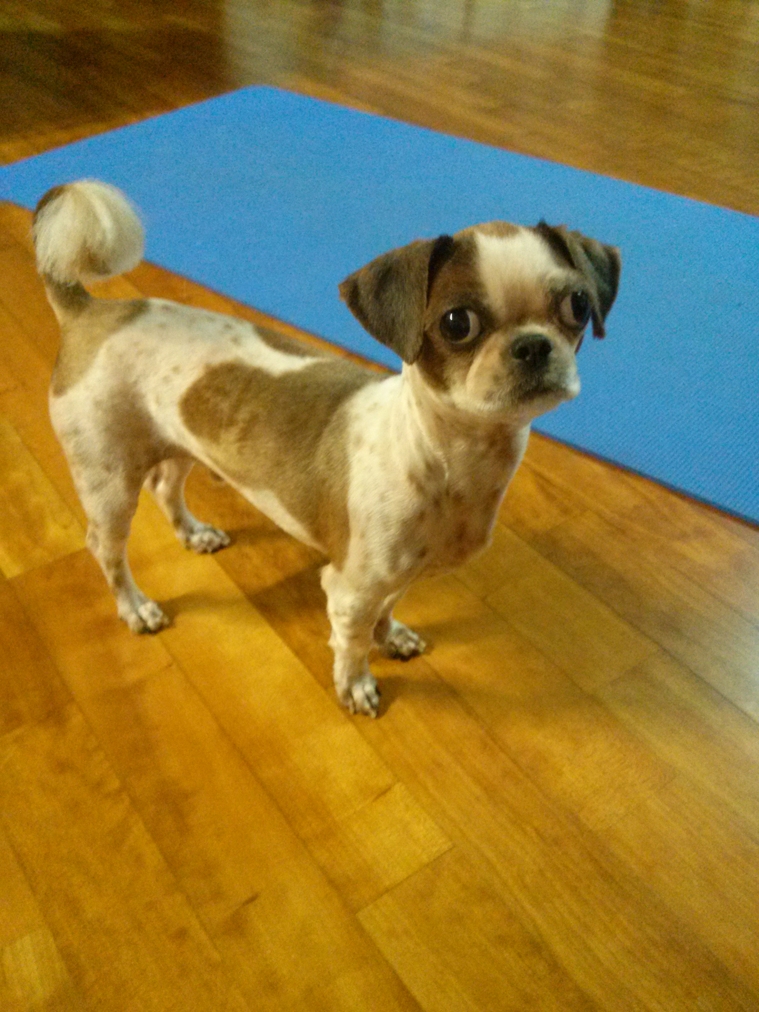 새롬(세븐)이 근황~