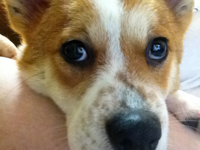 두리 잘 지내고 있어요^^