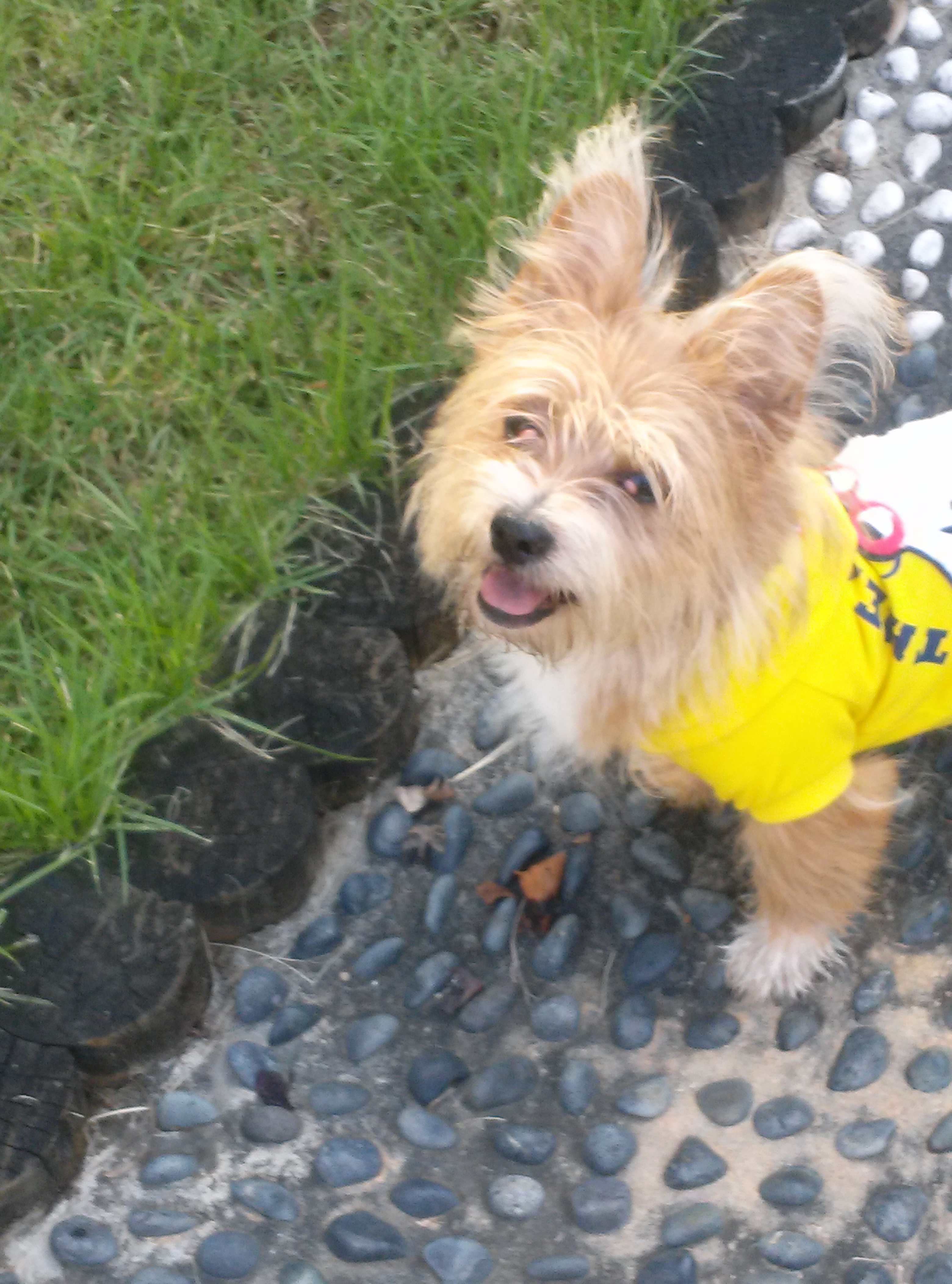 '우리'와  '또미'