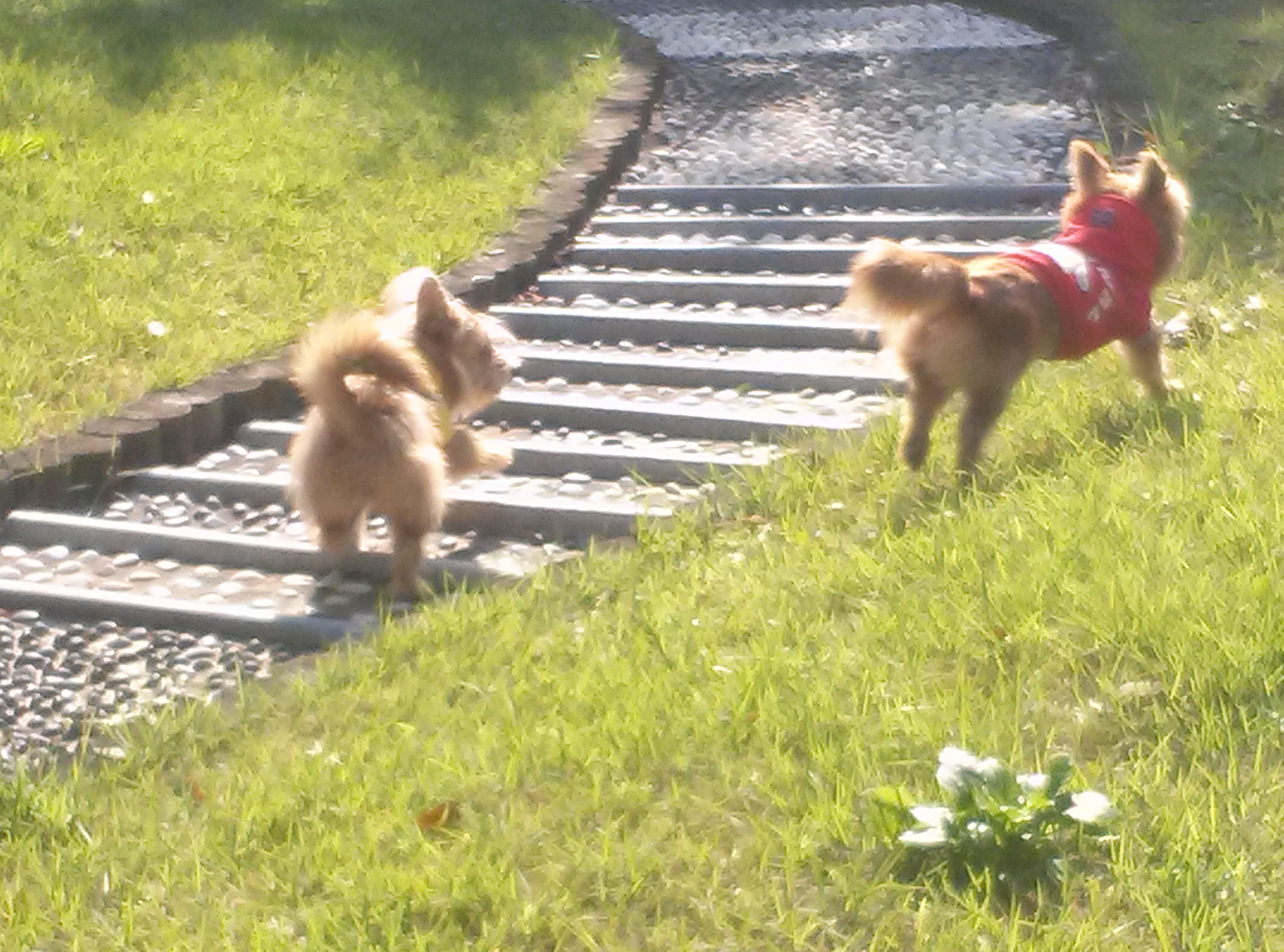 '우리'와  '또미'