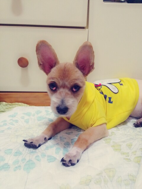 '우리'와  '또미'