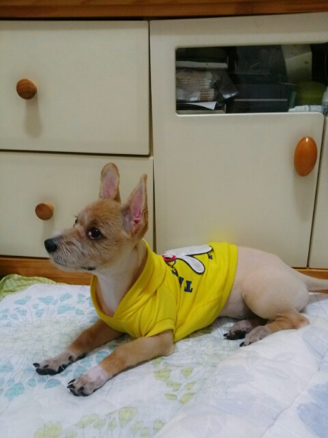 '우리'와  '또미'