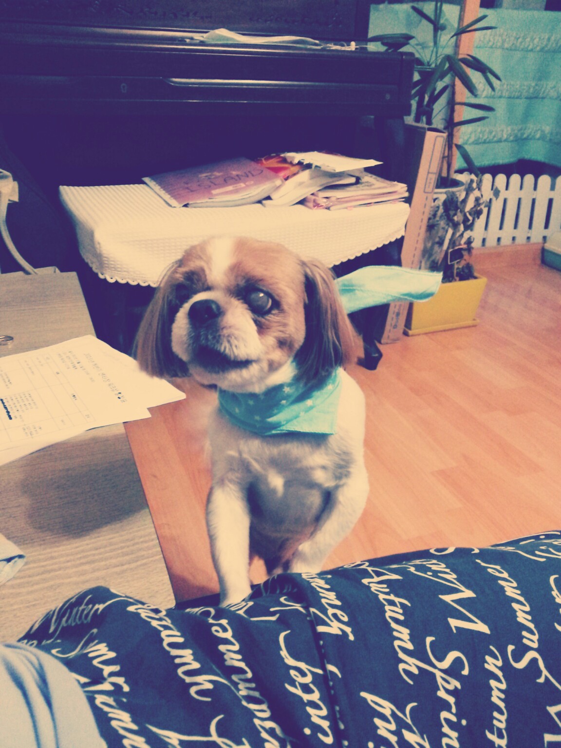 나는야 대풍수!!!