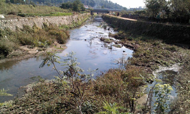 태양이, 담비, 가을산책 1