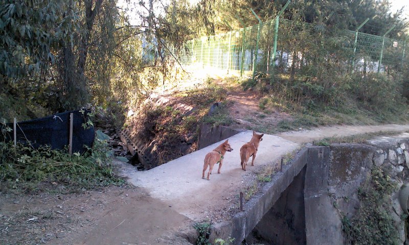 태양이, 담비, 가을산책 2
