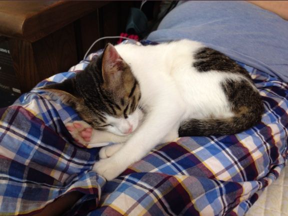 미키(오천) 잘 지내고있어요~^^