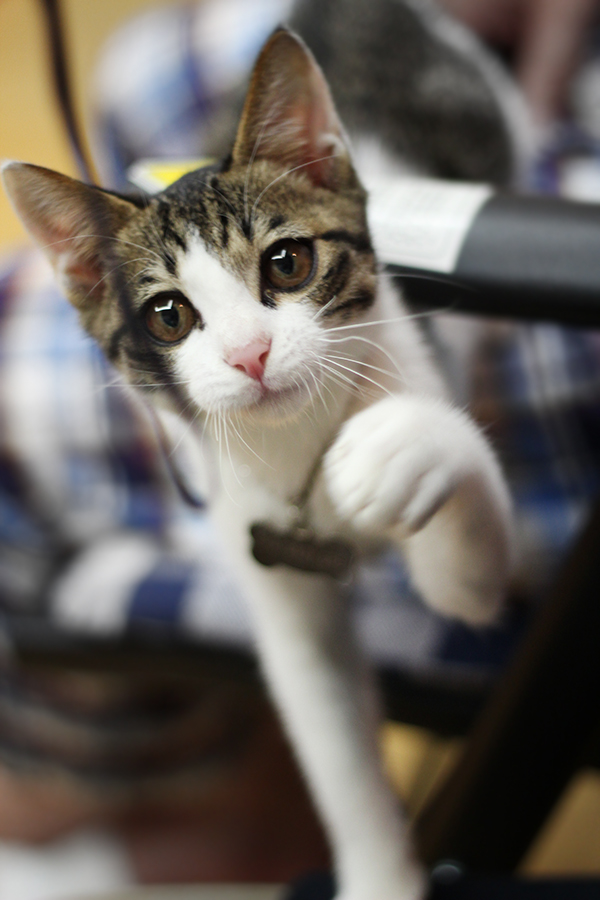 미키(오천) 잘 지내고있어요~^^