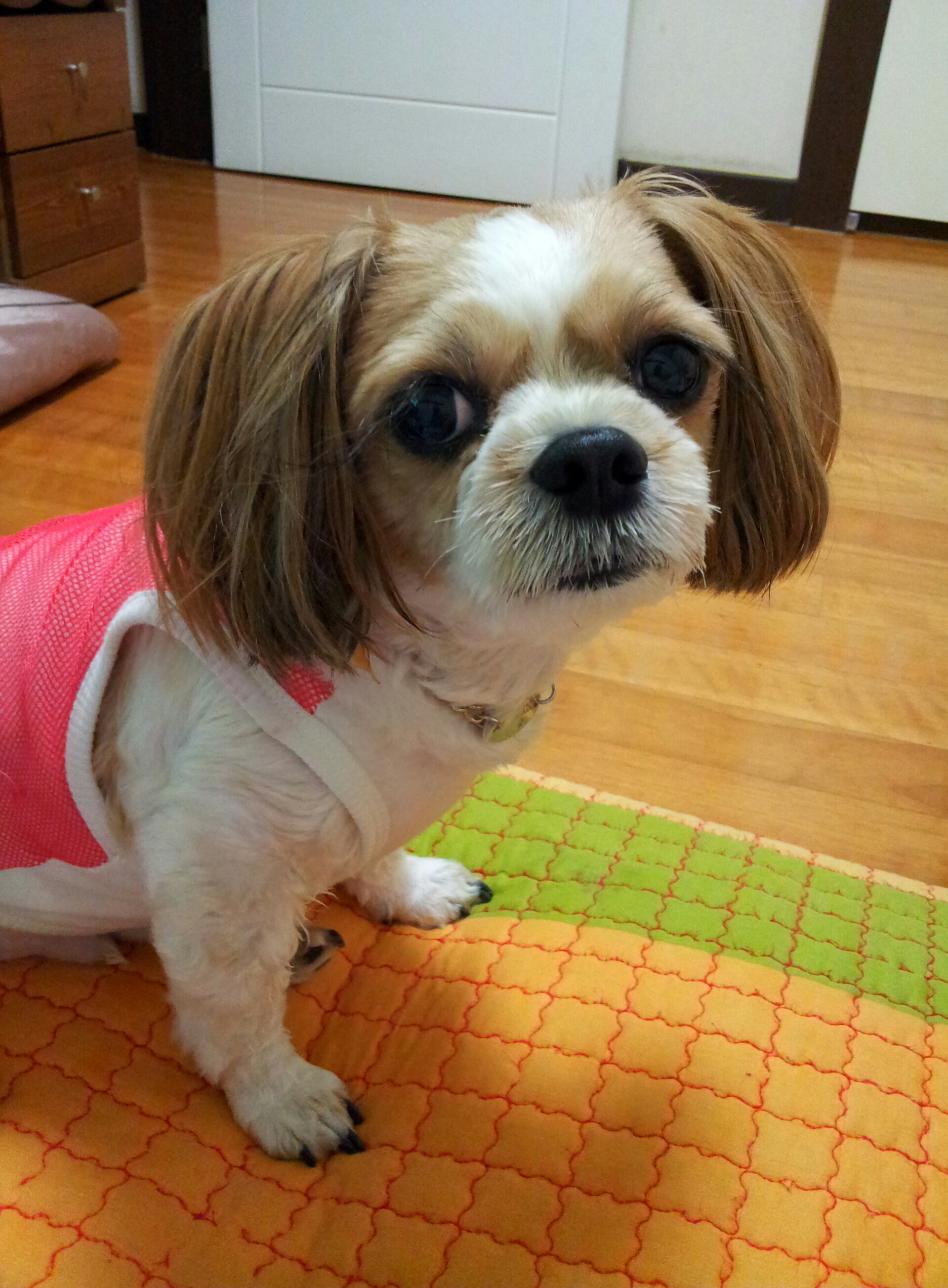 오랜만에 강세 왔어요^^