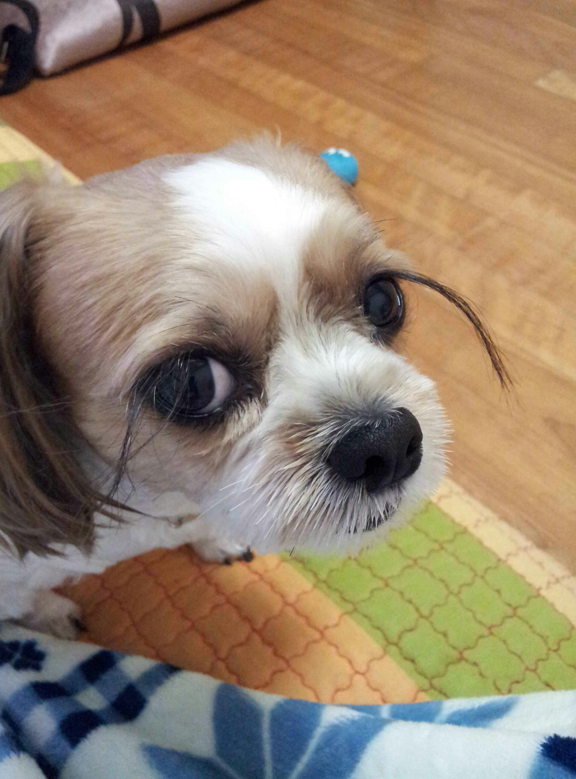 오랜만에 강세 왔어요^^