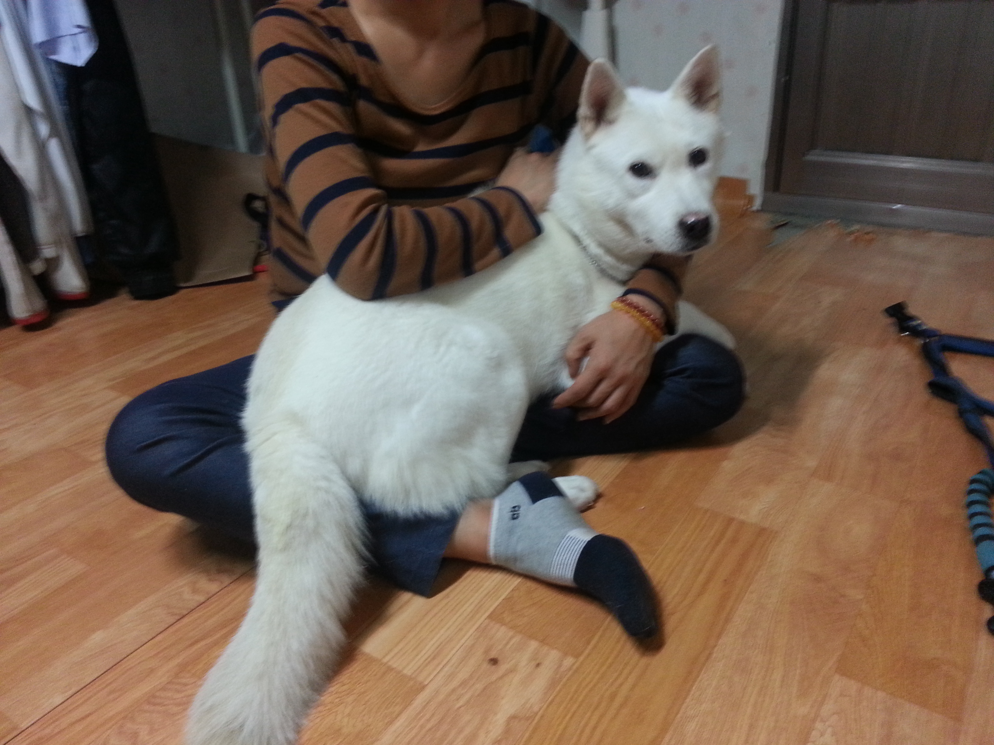 사랑이 잘지내고 잇어요~^^