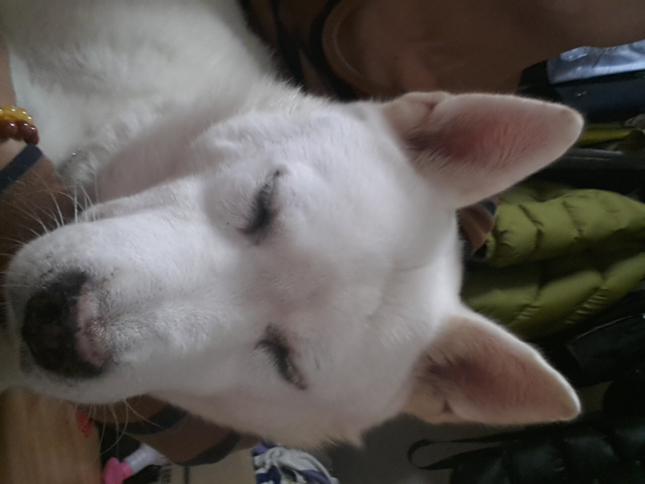 사랑이 잘지내고 잇어요~^^