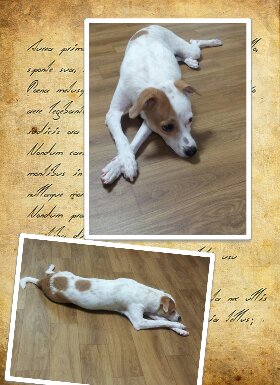 우리 새롬이 이렇게 컸어요!!