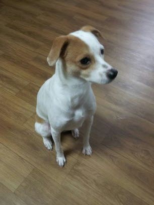 우리 새롬이 이렇게 컸어요!!