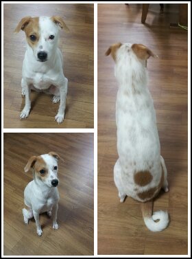 우리 새롬이 이렇게 컸어요!!