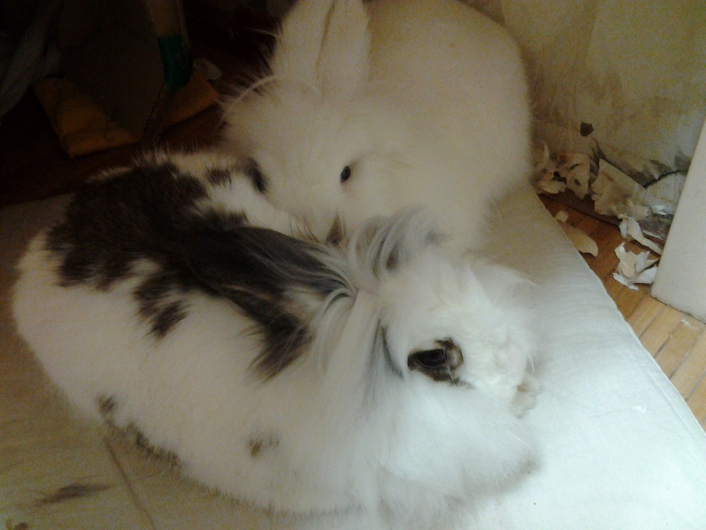 드디어!!! 베를린 장벽 허물다