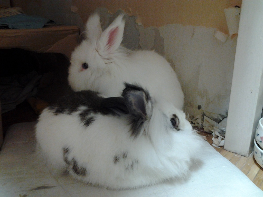 드디어!!! 베를린 장벽 허물다