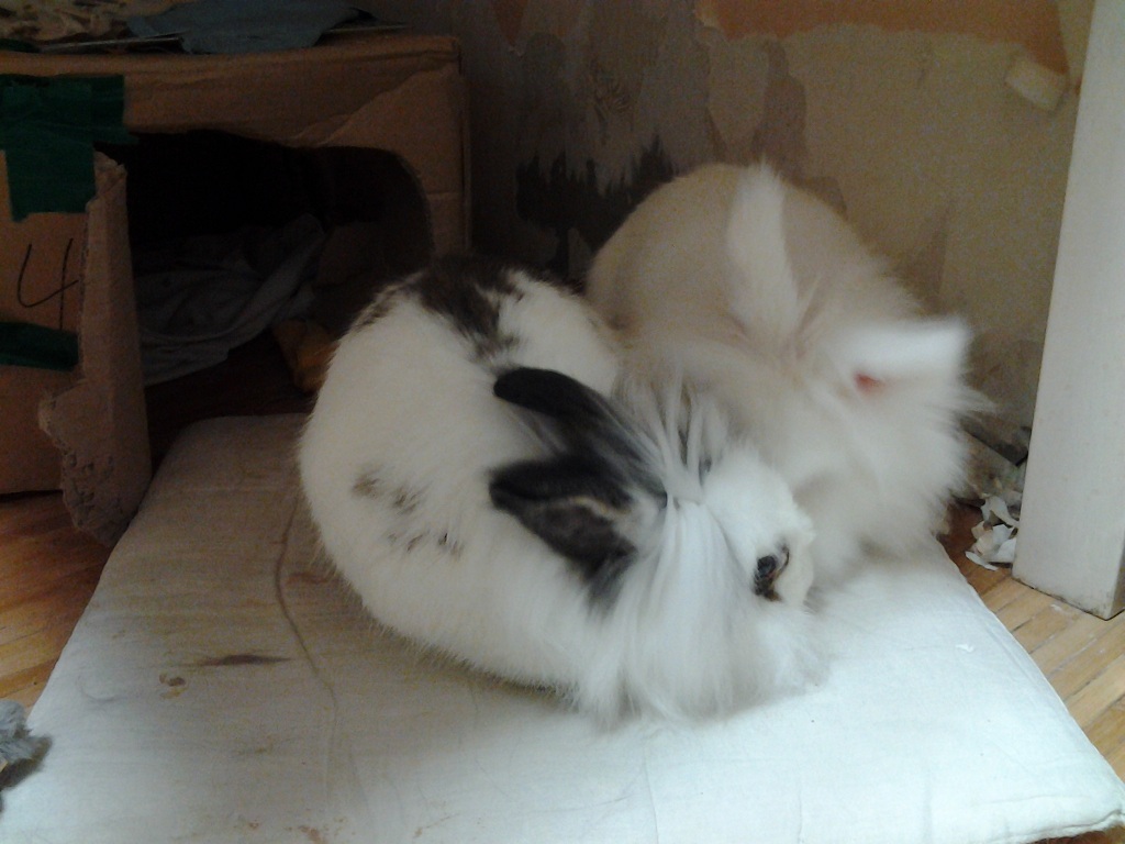 드디어!!! 베를린 장벽 허물다