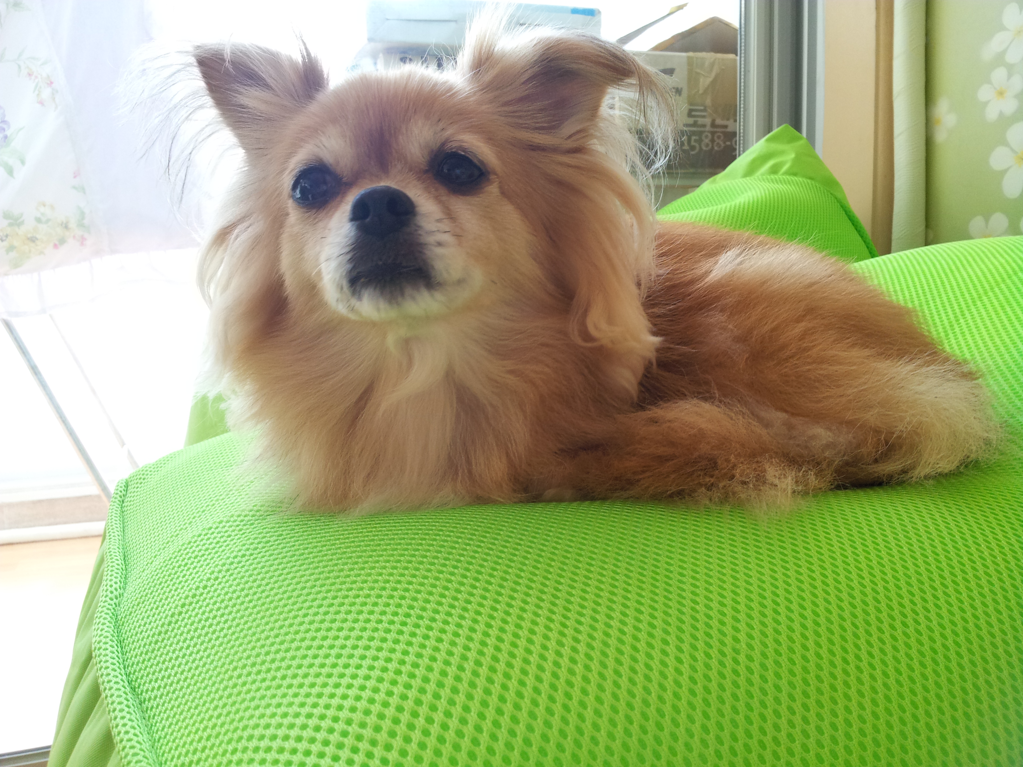 제나,티나,빛나