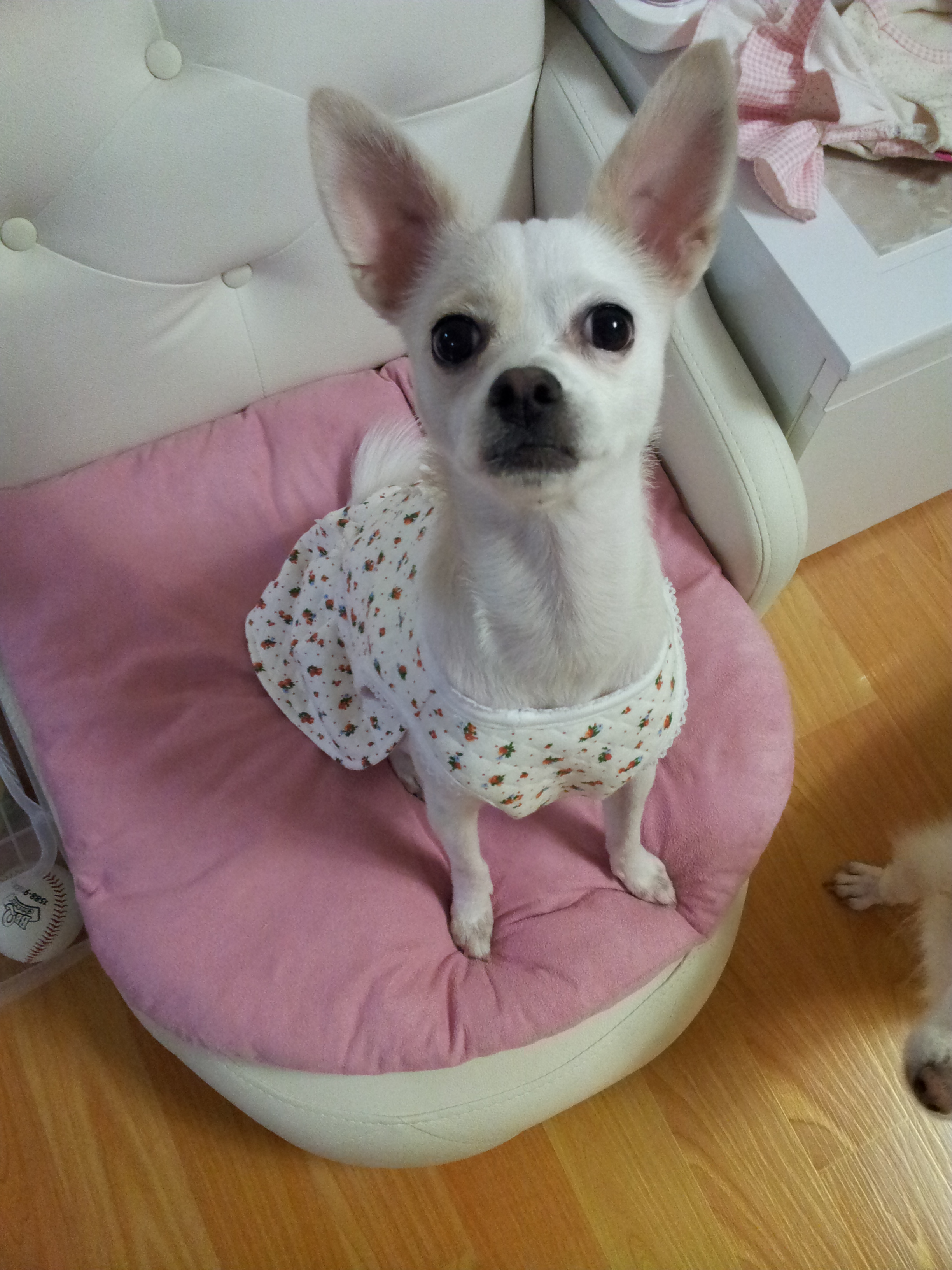 제나,티나,빛나