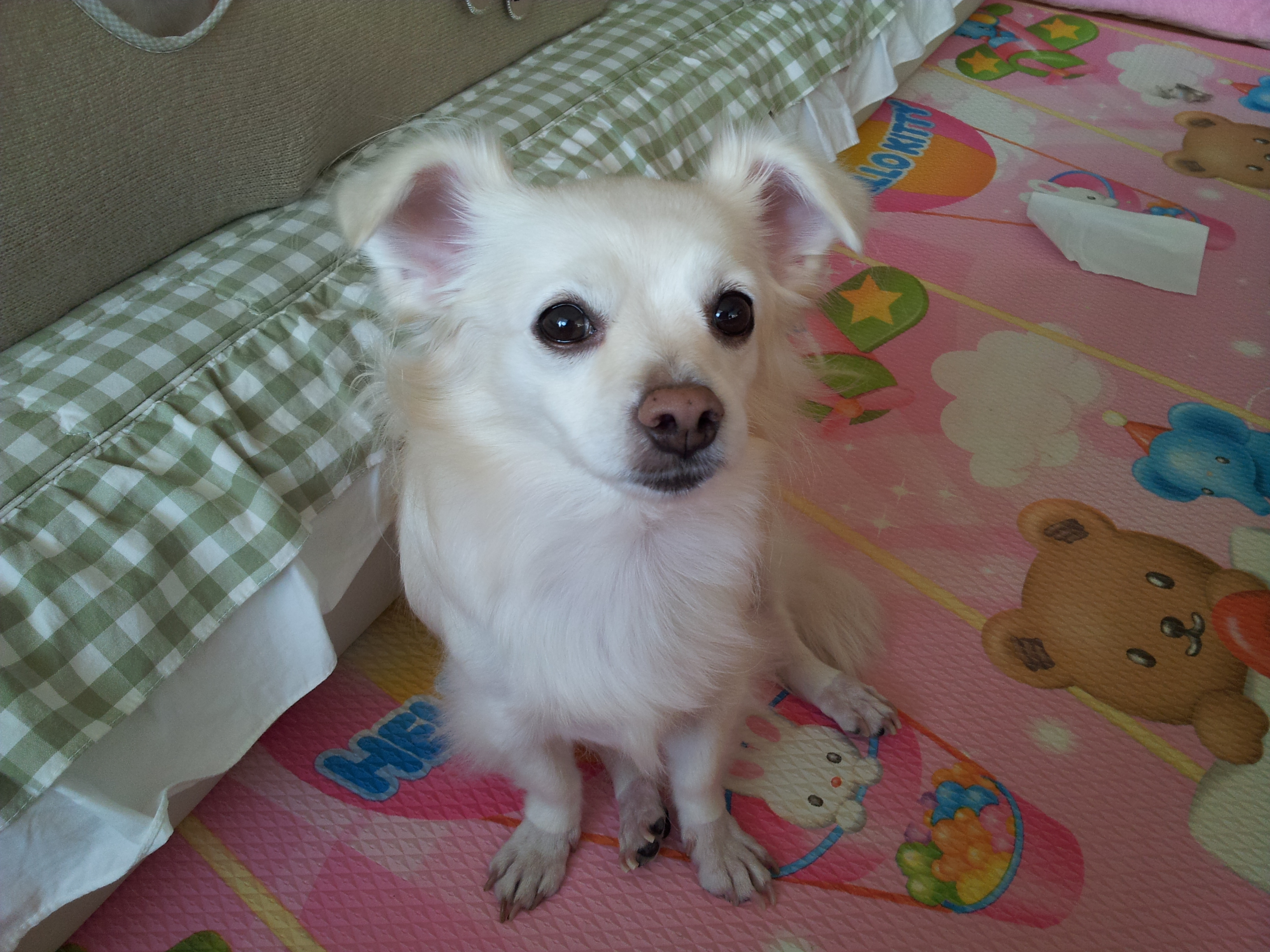 제나,티나,빛나