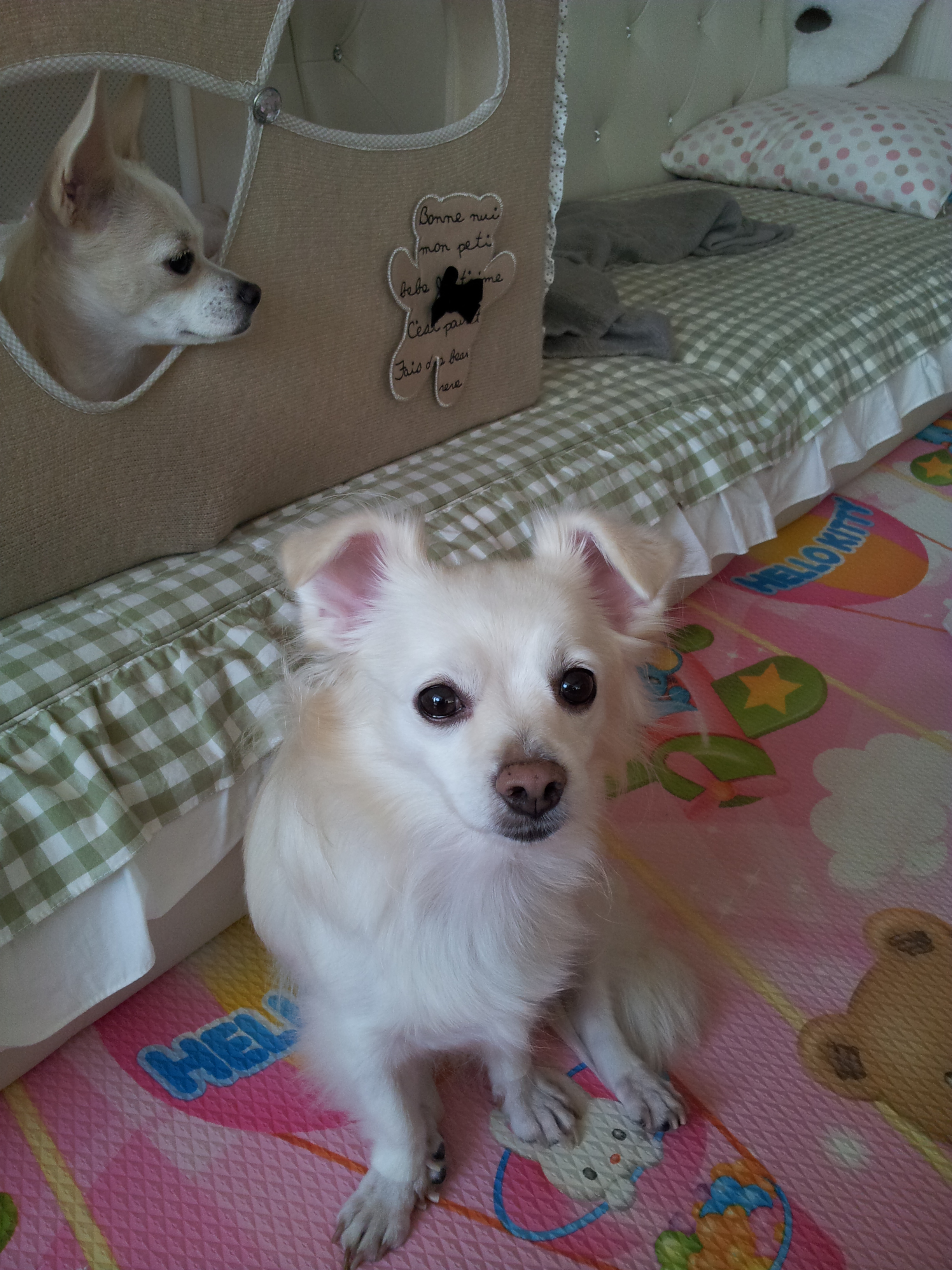 제나,티나,빛나