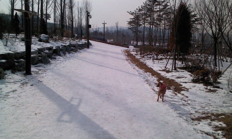 태양이, 담비의 겨울산책 1