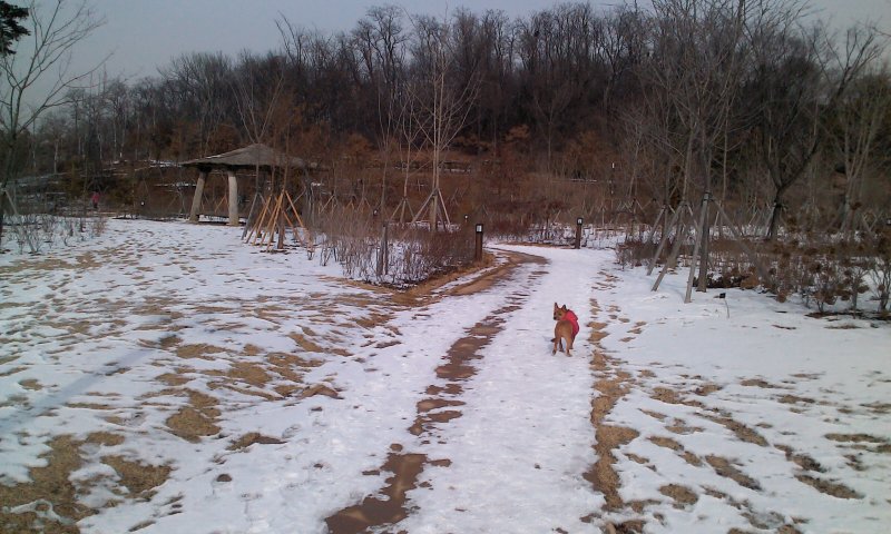 태양이, 담비의 겨울산책 2