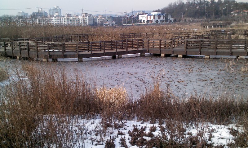 태양이, 담비의 겨울산책 2