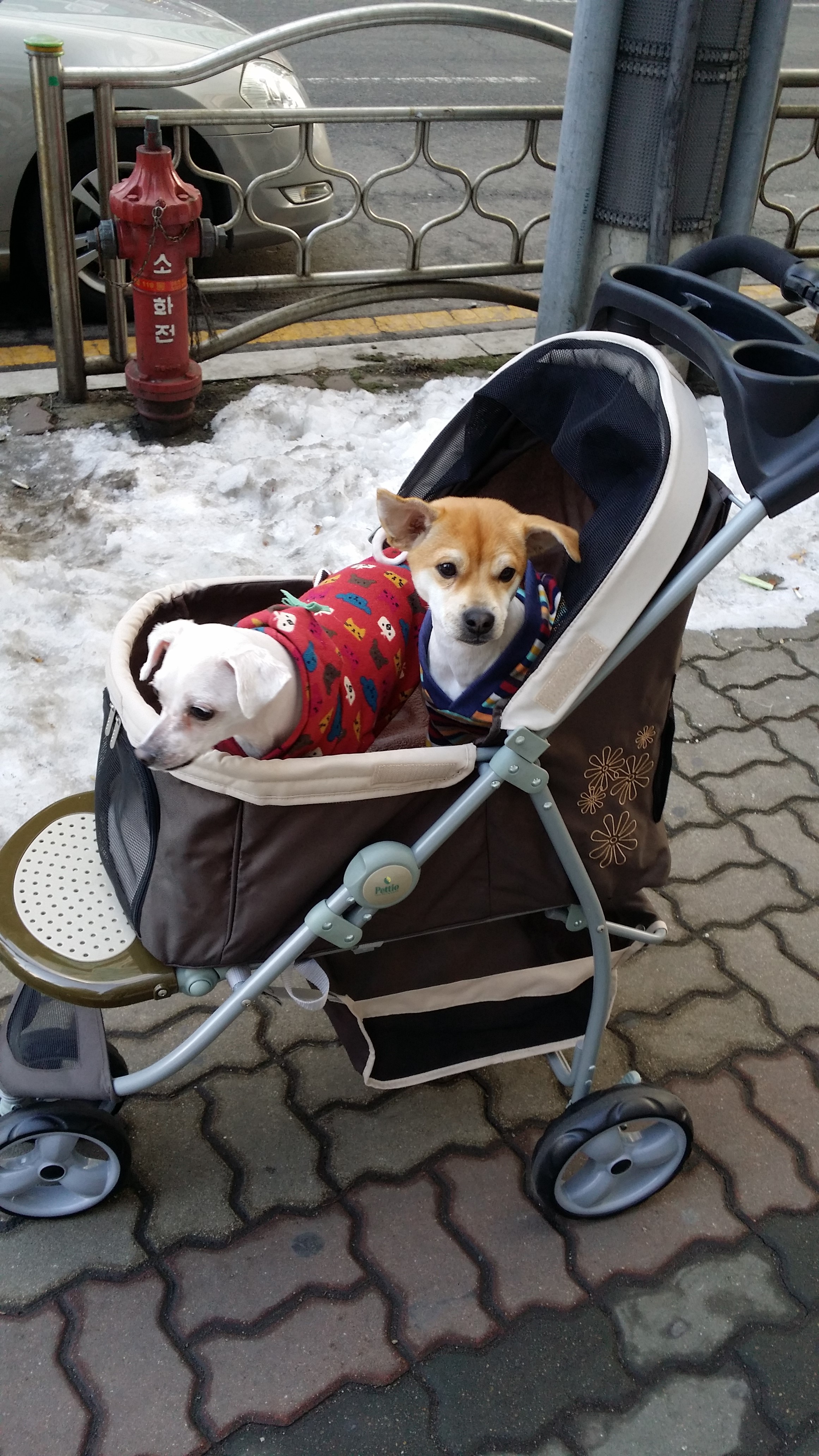 황우 두번째 후기