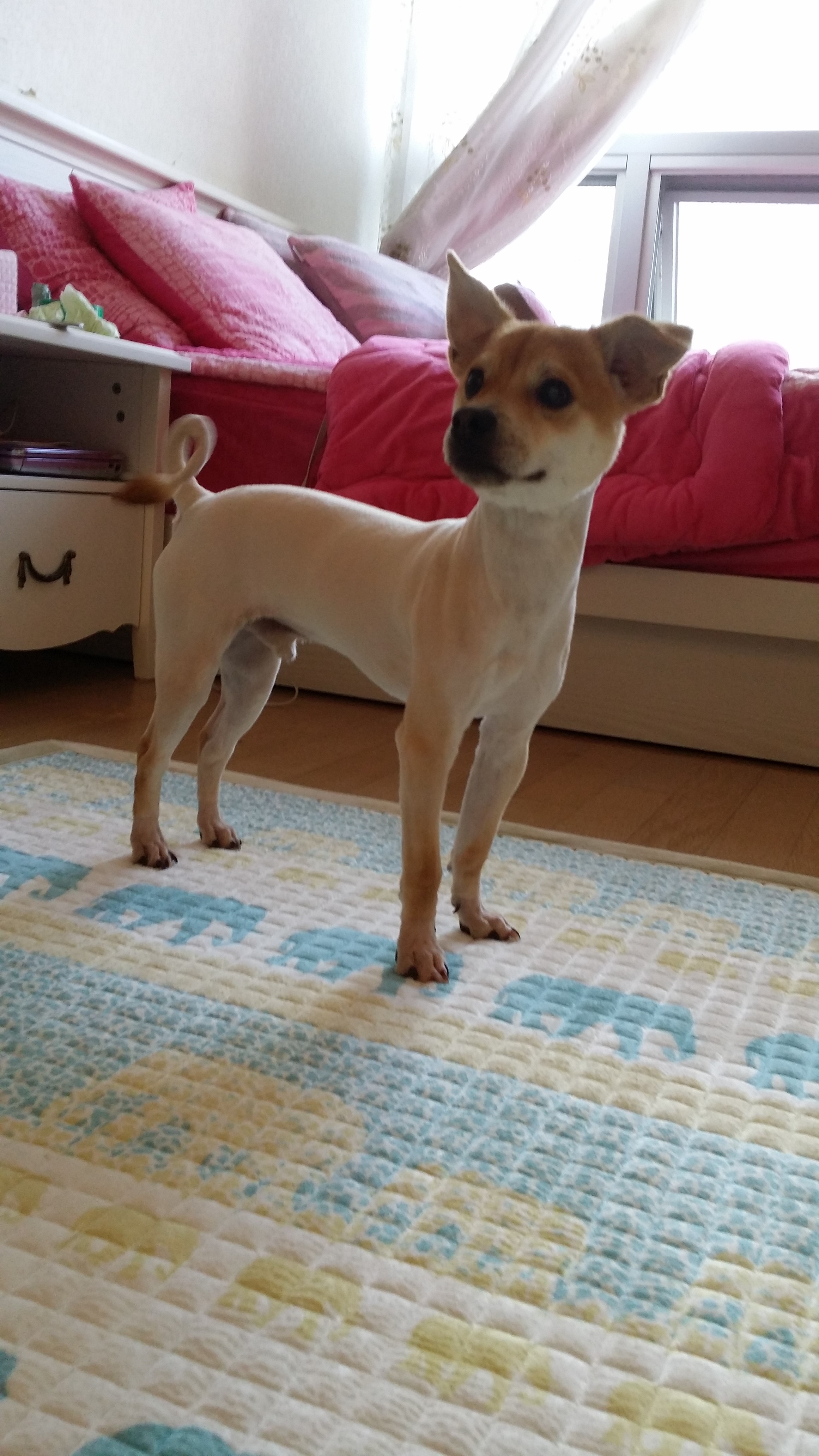 황우 두번째 후기