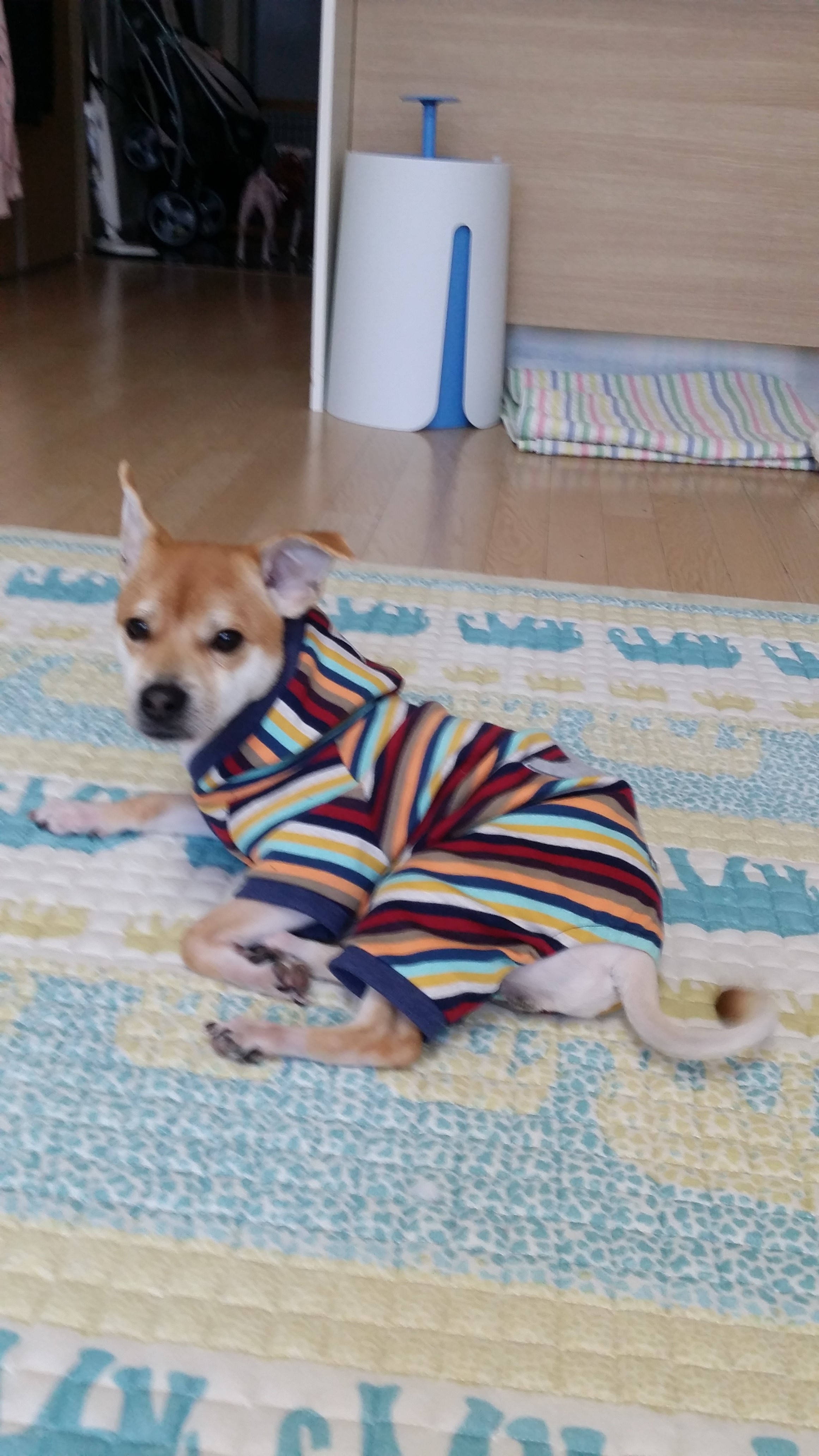 황우 두번째 후기