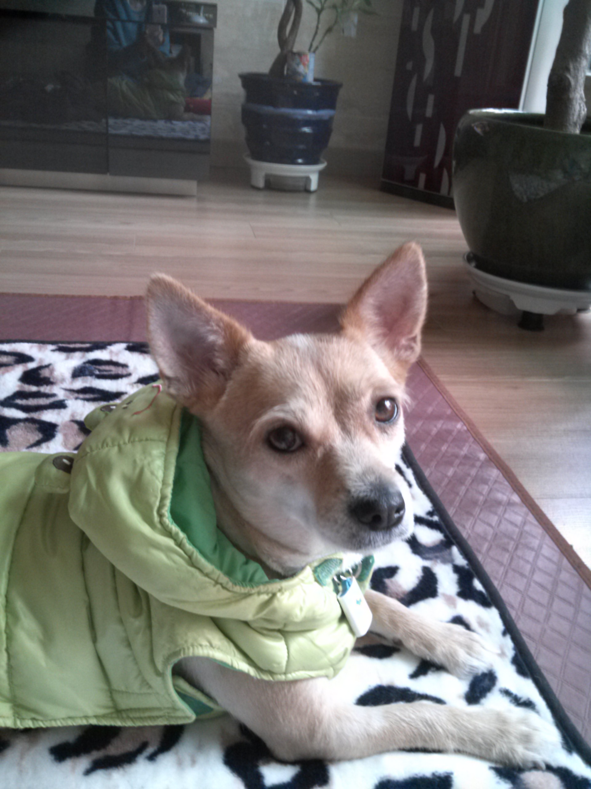 엄지공주의 일상들