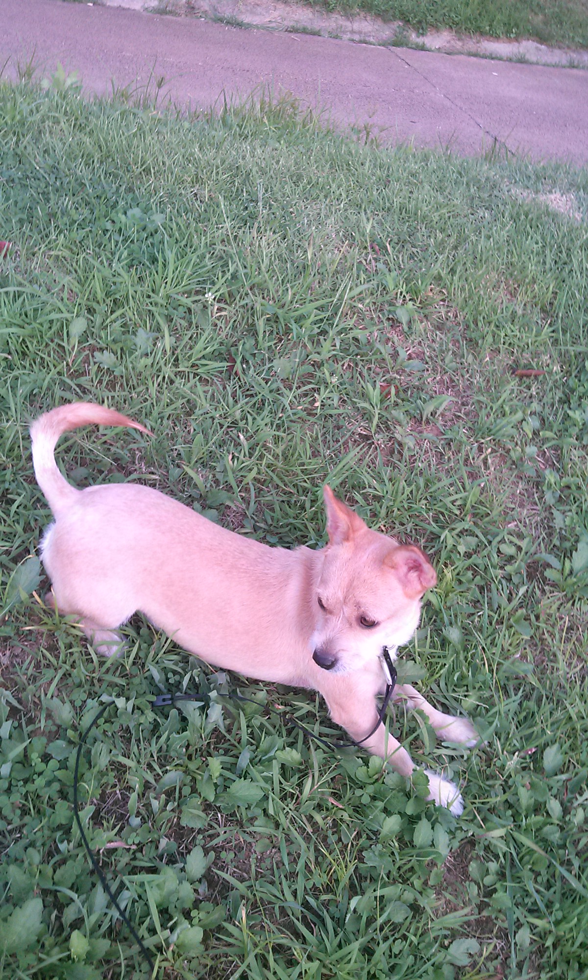 엄지공주의 일상들