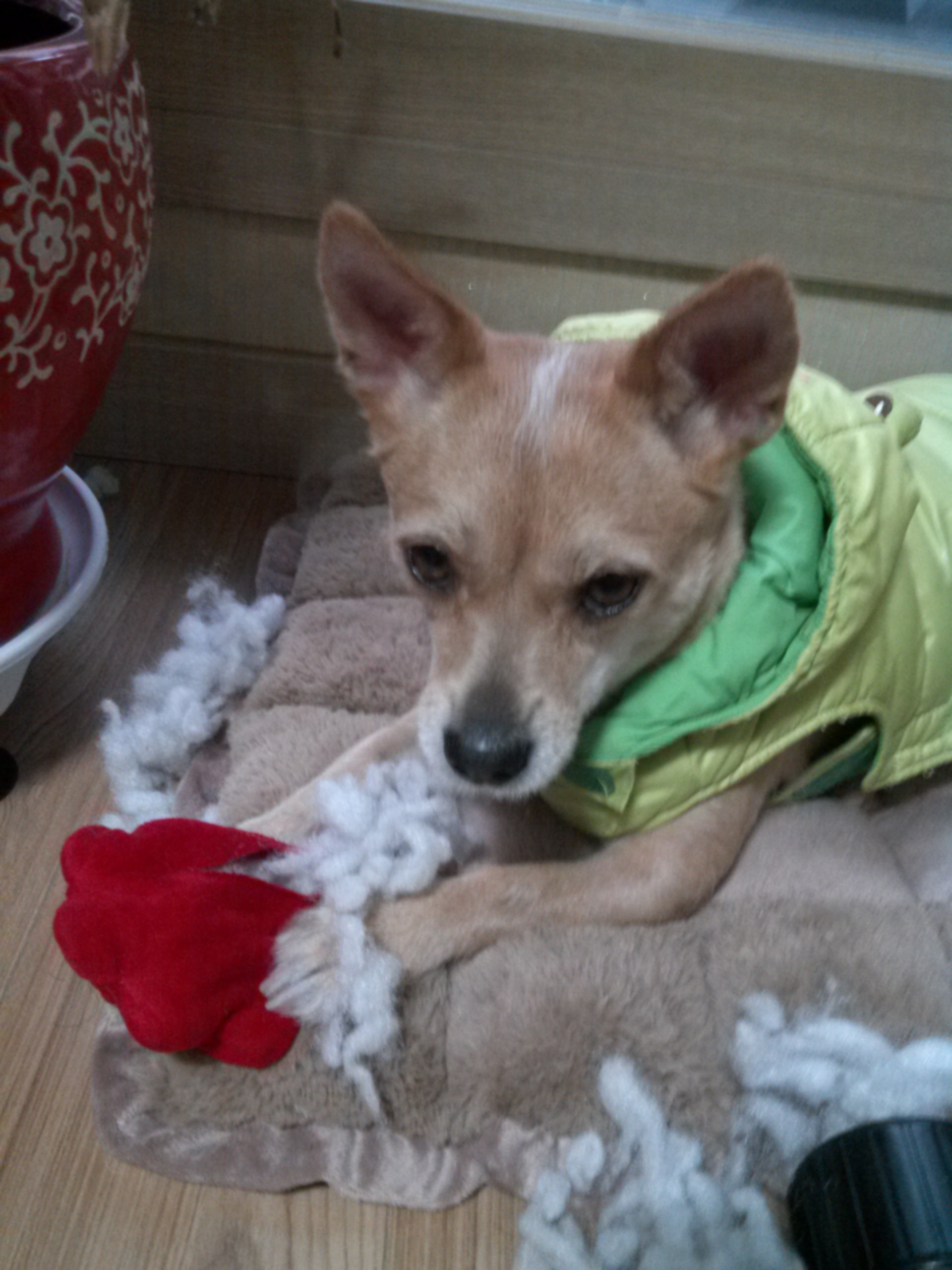 엄지공주의 일상들